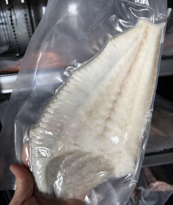 TURBOT Cru (Psetta maxima)